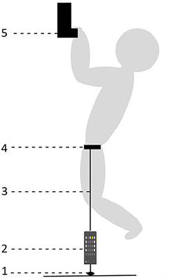 The Effects of 10 Weeks Hangboard Training on Climbing Specific Maximal Strength, Explosive Strength, and Finger Endurance